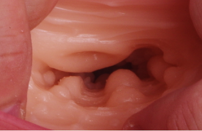 以泰贝莎为例，看重量级倒模代表的女性特征插图1