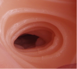 以泰贝莎为例，看重量级倒模代表的女性特征插图2