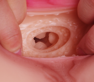 30斤大屁股居然是这样的——蒂凡尼测评插图4