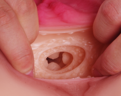 TAISEN超大倒模——蒂梵尼推荐插图1