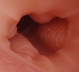 30斤超大倒模蒂梵尼开箱!插图4 30斤超大倒模蒂梵尼开箱!插图4