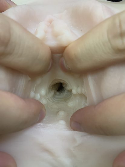 美国taisen屁股系列蒂梵妮飞机杯推荐名器真人倒模飞机杯测评-广州器具大师网络运营中心