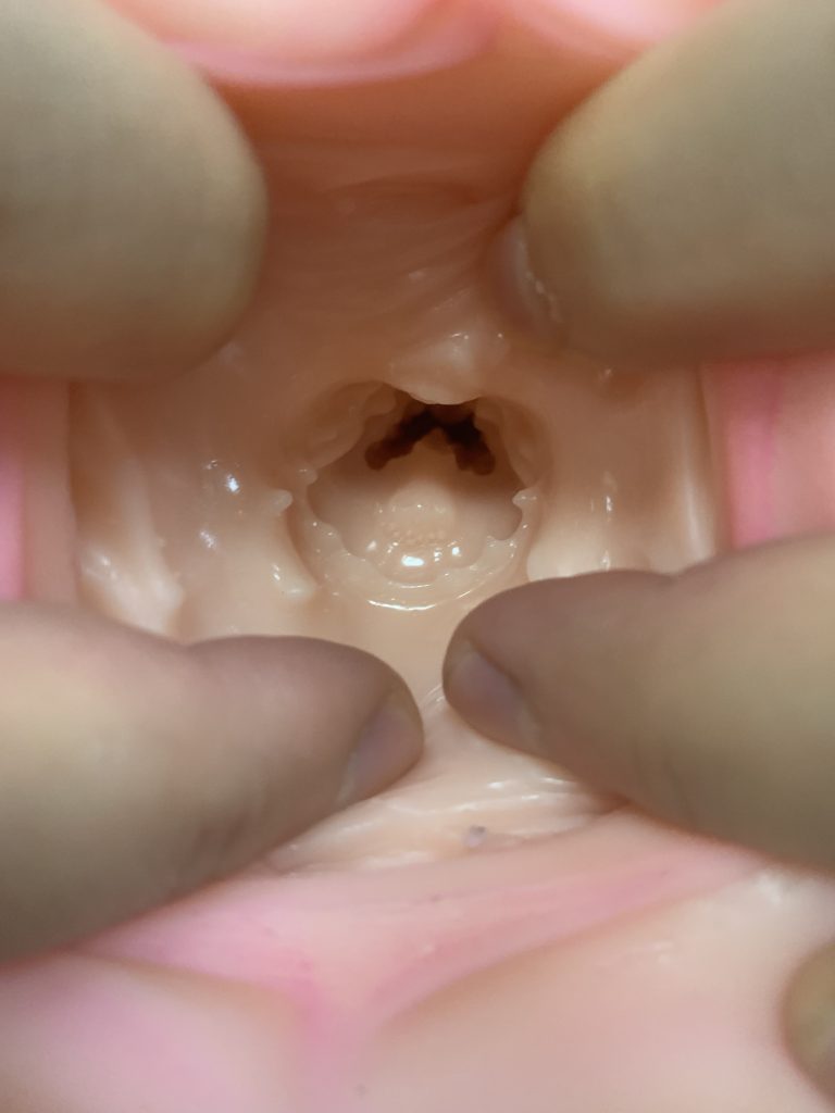 美国taisen身体系列埃菲飞机杯推荐名器真人倒模飞机杯测评—忠实的管家插图5