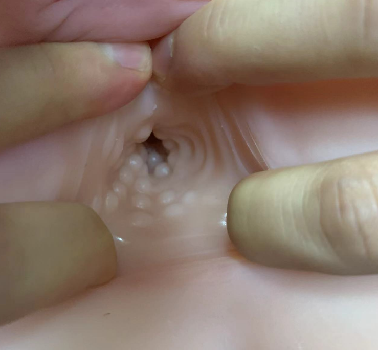 美国taisen屁股系列芭芭拉飞机杯推荐名器真人倒模飞机杯测评插图3