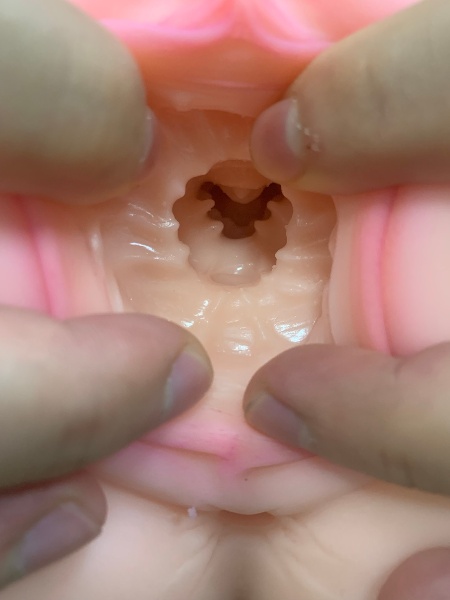 美国taisen身体系列埃菲飞机杯推荐名器真人倒模飞机杯测评插图4