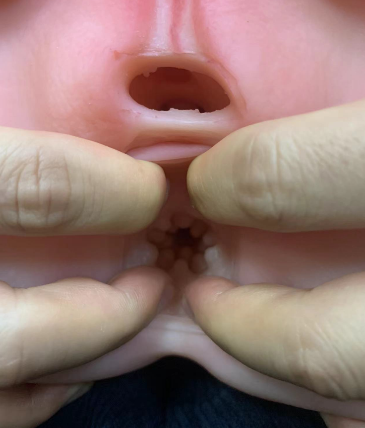 美国TAISEN屁股系列艾薇儿飞机杯推荐飞机杯测评绝对值得入手!插图4 美国TAISEN屁股系列艾薇儿飞机杯推荐飞机杯测评绝对值得入手!插图4