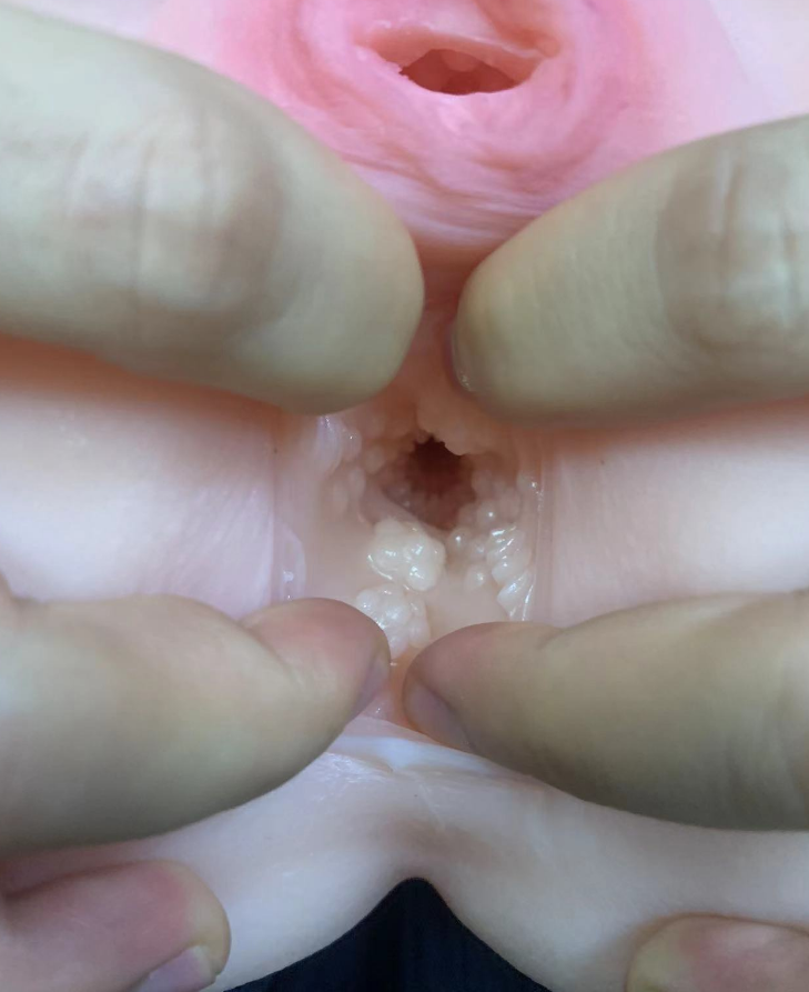 美国taisen梅莉真人阴臀倒模最新资讯飞机杯插图5