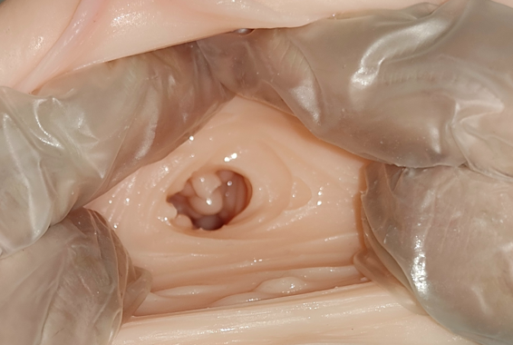 老司机专享！Aivrobta JK学姐（JK先辈）飞机杯测评｜450g高刺激榨汁机的秘密武器插图1