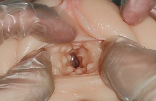 老司机专享！Aivrobta JK学姐（JK先辈）飞机杯测评｜450g高刺激榨汁机的秘密武器插图2