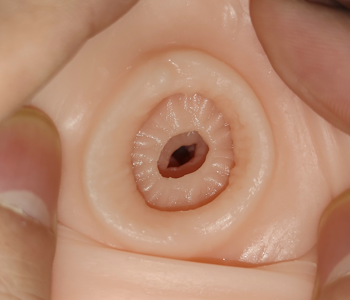 IkebukuroToys 飞机杯OL教师实测，老玩家专属的「四重子宫榨汁机」，新手慎入！插图3