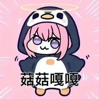 2026年飞机杯推荐,新手如何选杯()!插图4 20260729171202559-_1_摸鱼躺尸_来自小红书网页版