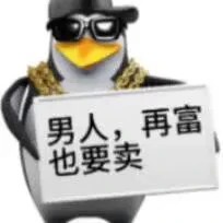 20260803171127715-马达加斯加企鹅｜第五弹_1_冻梨冻梨_来自小红书网页版