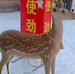 2026手持真人倒模飞机杯排行榜TOP10：怎么选适合自己的？插图10