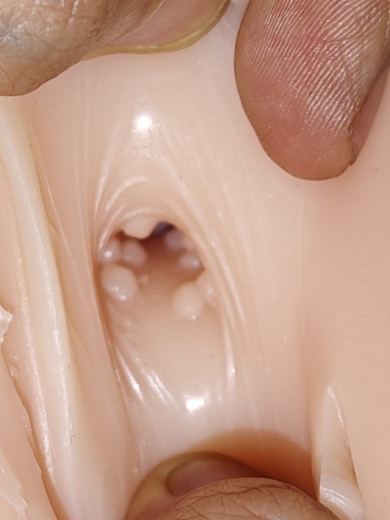 蜜壶放课生月冈唯名器测评:新手进阶的小型飞机杯之选插图4 20260905154017930-IMG_20260523_200723