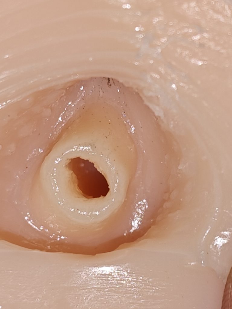 蜜壶放课生月冈唯名器测评:新手进阶的小型飞机杯之选插图6 20260905155449750-IMG_20260523_201046