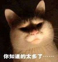 20261008175724743-950490e713d23ae859d43225c391a1d99ebccce1