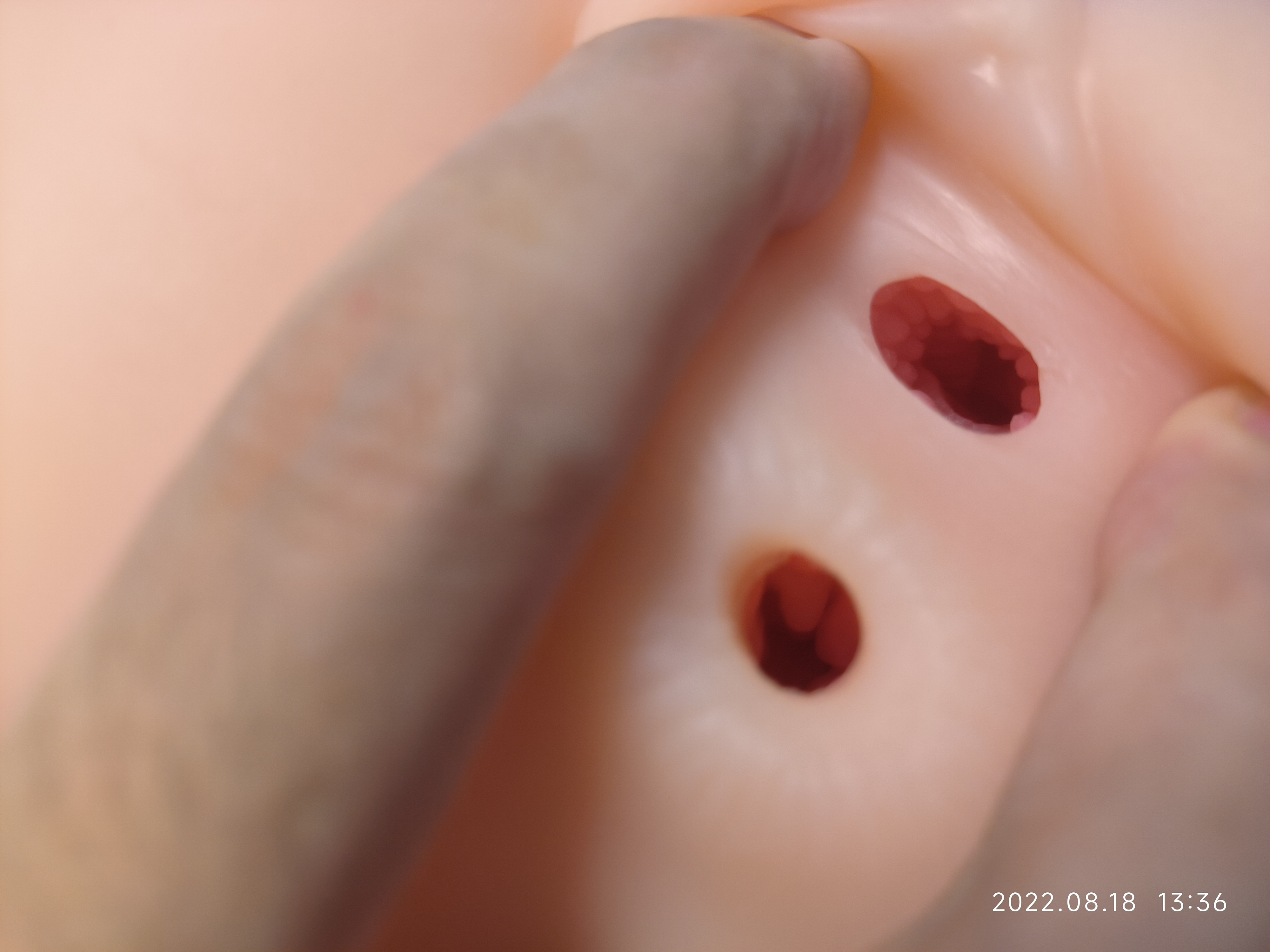 Kaguyano 番茄酱 布丁款插图10