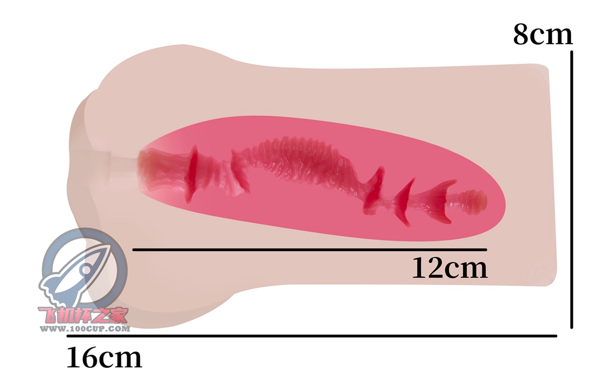 “我从河北省来”—exe河北彩花（中高刺激）评测 | ¥200-400区间 – 4星推荐插图6