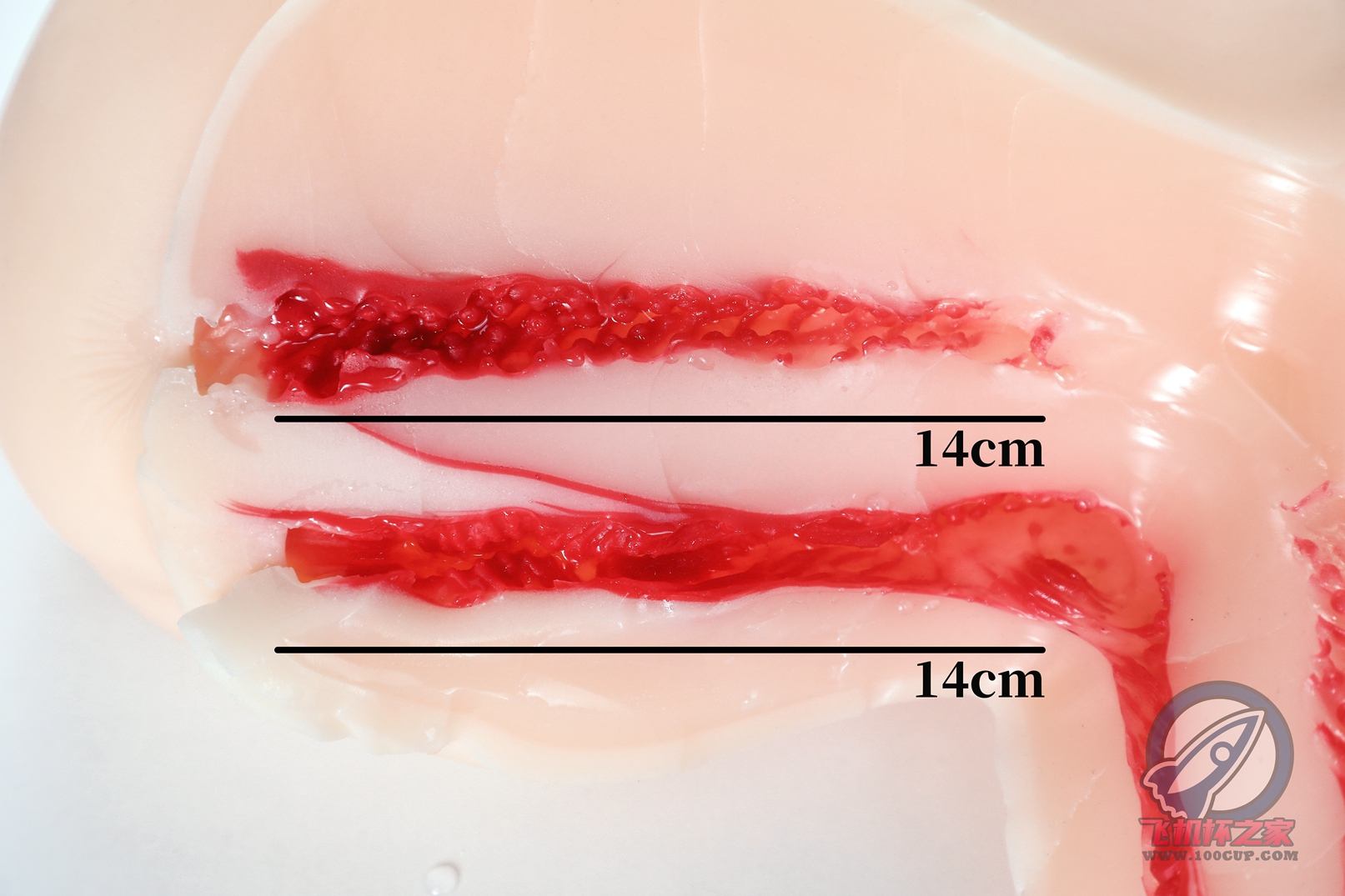 “《脂肪含量超标》”—TMT工口美尻3代（中低刺激）评测插图8