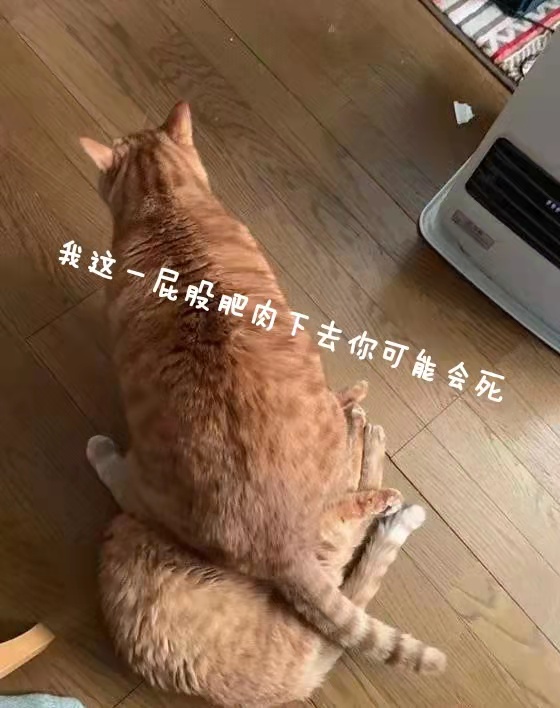 “小伙子,鹅蛋一样大的杯子你“尝过”没?”—紧致肉蛋(中低刺激)评测插图1 “小伙子,鹅蛋一样大的杯子你“尝过”没?”—紧致肉蛋(中低刺激)评测插图1