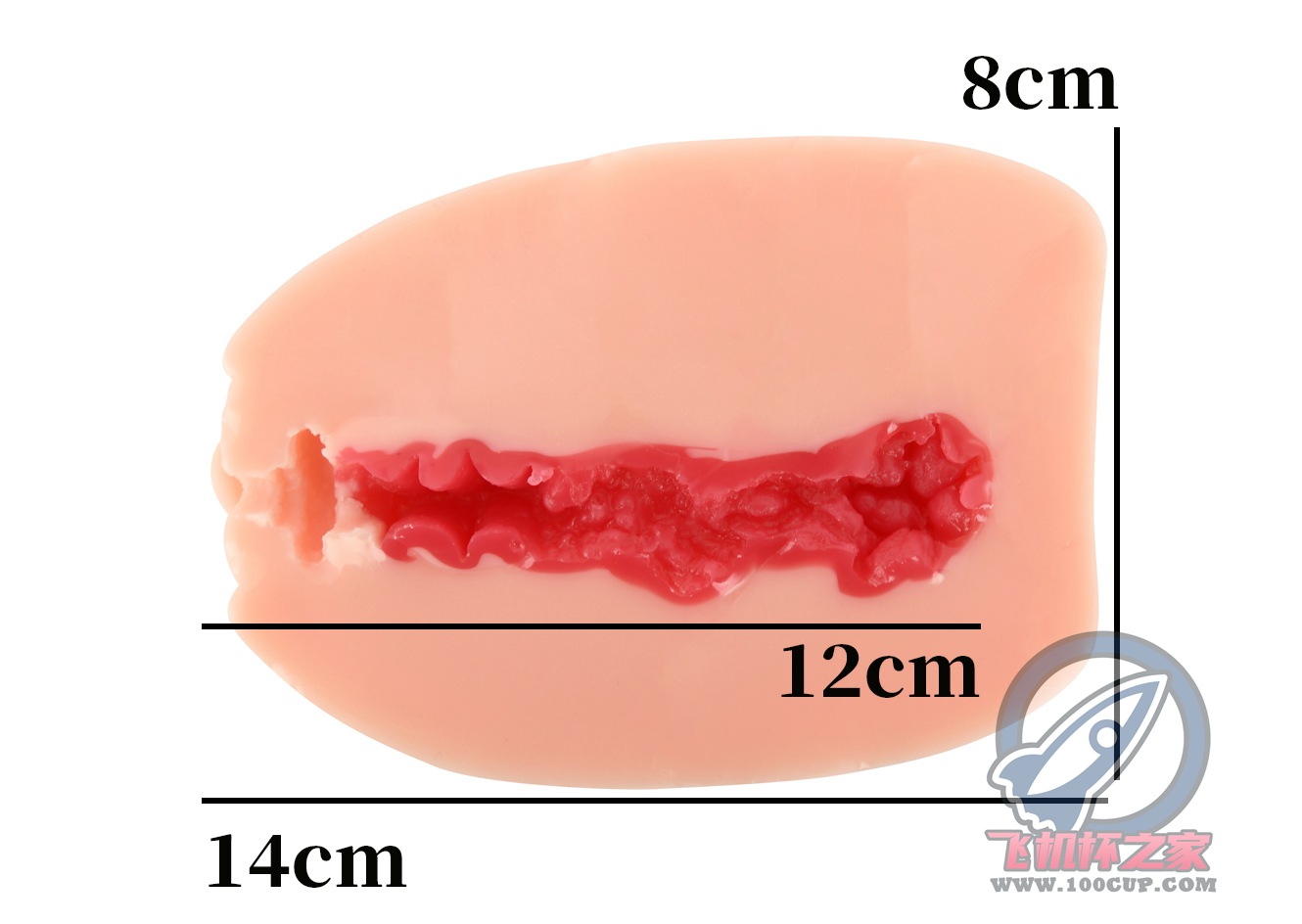 “小伙子，鹅蛋一样大的杯子你“尝过”没？”—紧致肉蛋（中低刺激）评测插图8