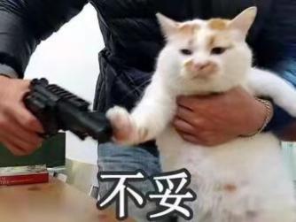 “深藏的秘密桃花源”—RKT完熟生腰(中高刺激)评测 | ¥400-800区间 – 4星推荐插图8 “深藏的秘密桃花源”—RKT完熟生腰(中高刺激)评测 | ¥400-800区间 – 4星推荐插图8