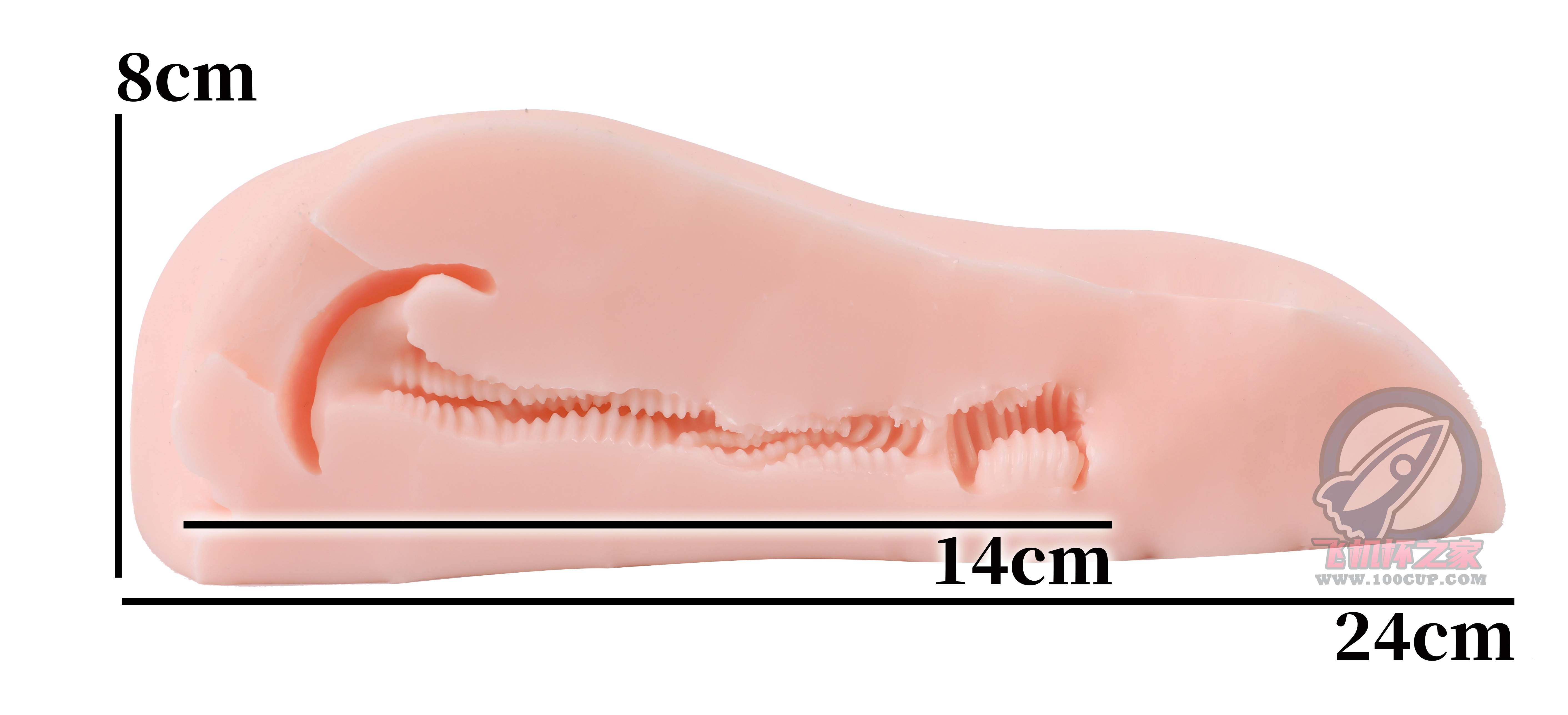 “你不必发力，我自己会投降”—床置型兽耳娘（中刺激）评测插图6