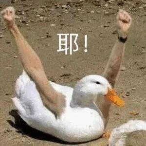 “牛乳池爬出来的香气天使”— 泳池天使(中刺激)评测插图11 “牛乳池爬出来的香气天使”— 泳池天使(中刺激)评测插图11