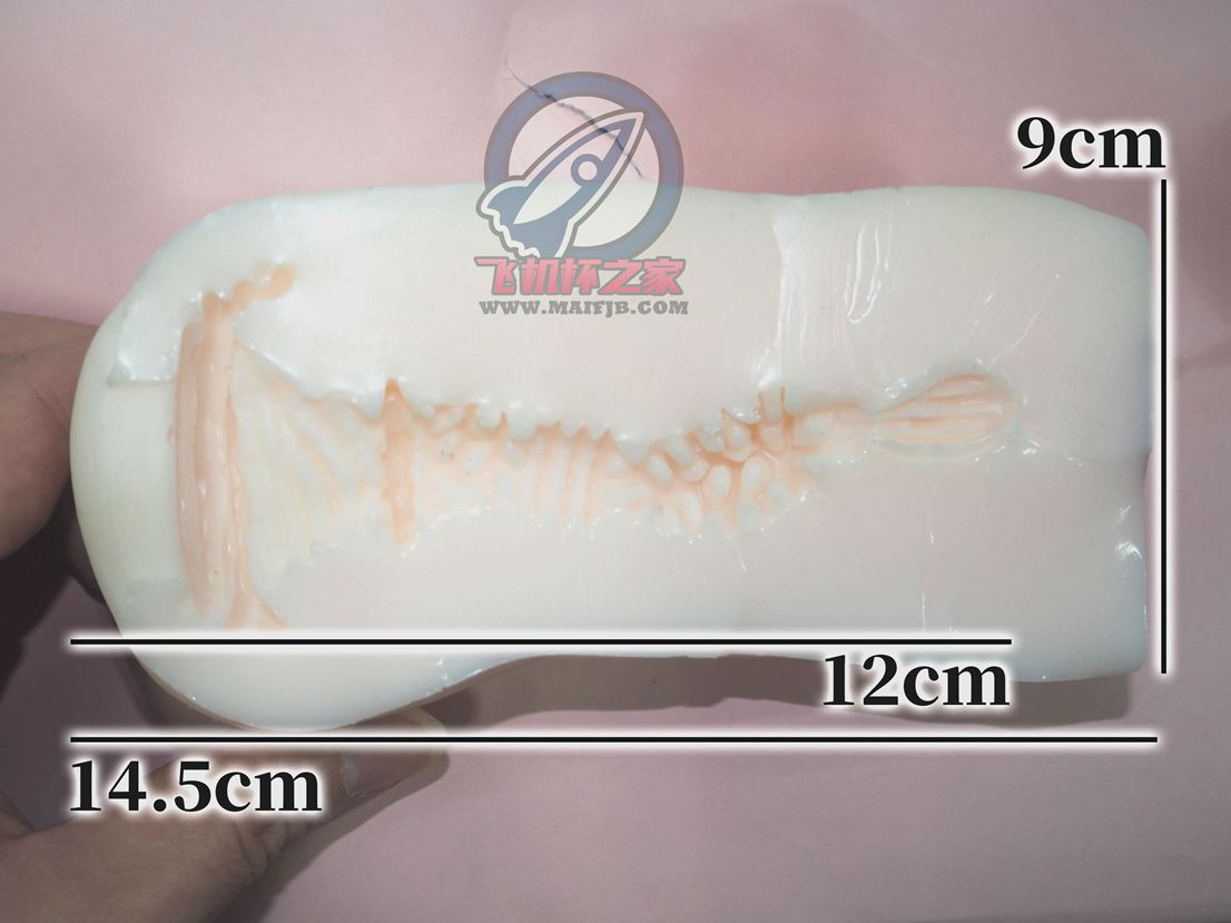 “金发紫瞳似含羞，衣衫半掩曲通幽。”— 光光学园2 柔软版（中低刺激）评测插图6