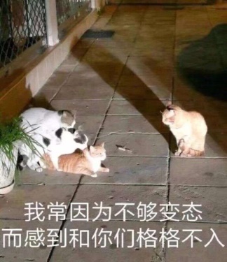 “不会物理的蠕虫怪不是一个好旗袍娘(大雾)”— 旗袍娘(中刺激)评测插图5 “不会物理的蠕虫怪不是一个好旗袍娘(大雾)”— 旗袍娘(中刺激)评测插图5