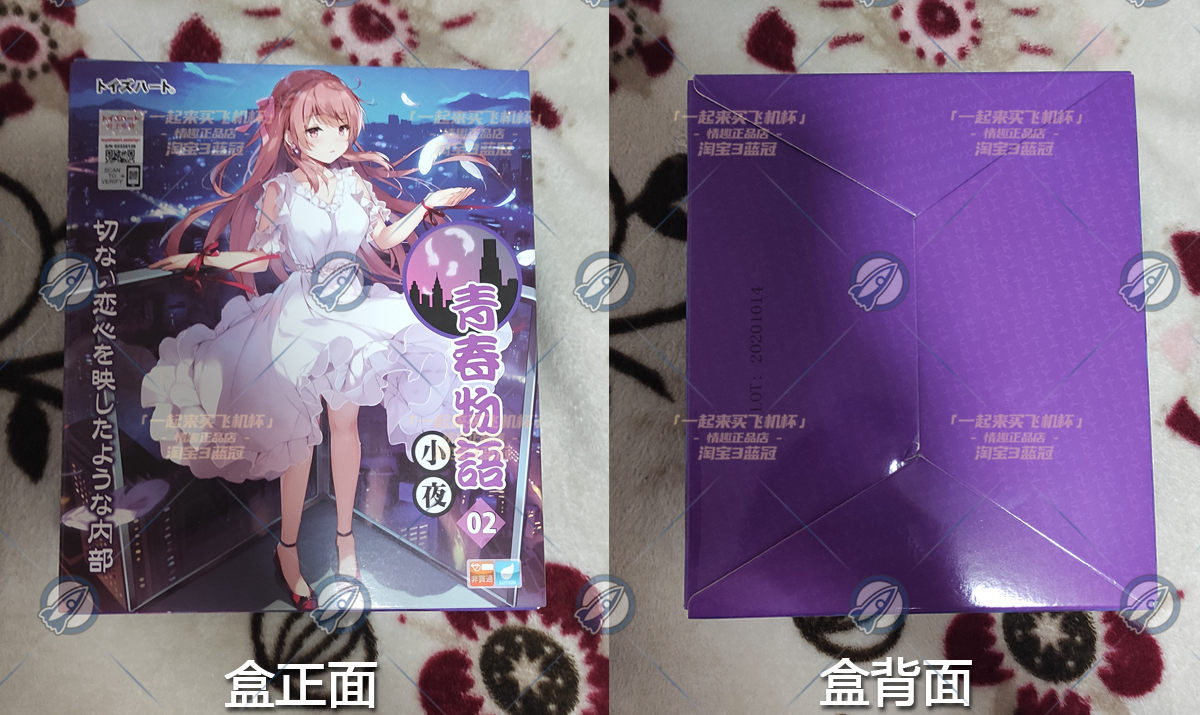 “和你的青春恋爱物语果然没有问题”— 青春物语-小夜（中刺激）评测插图2