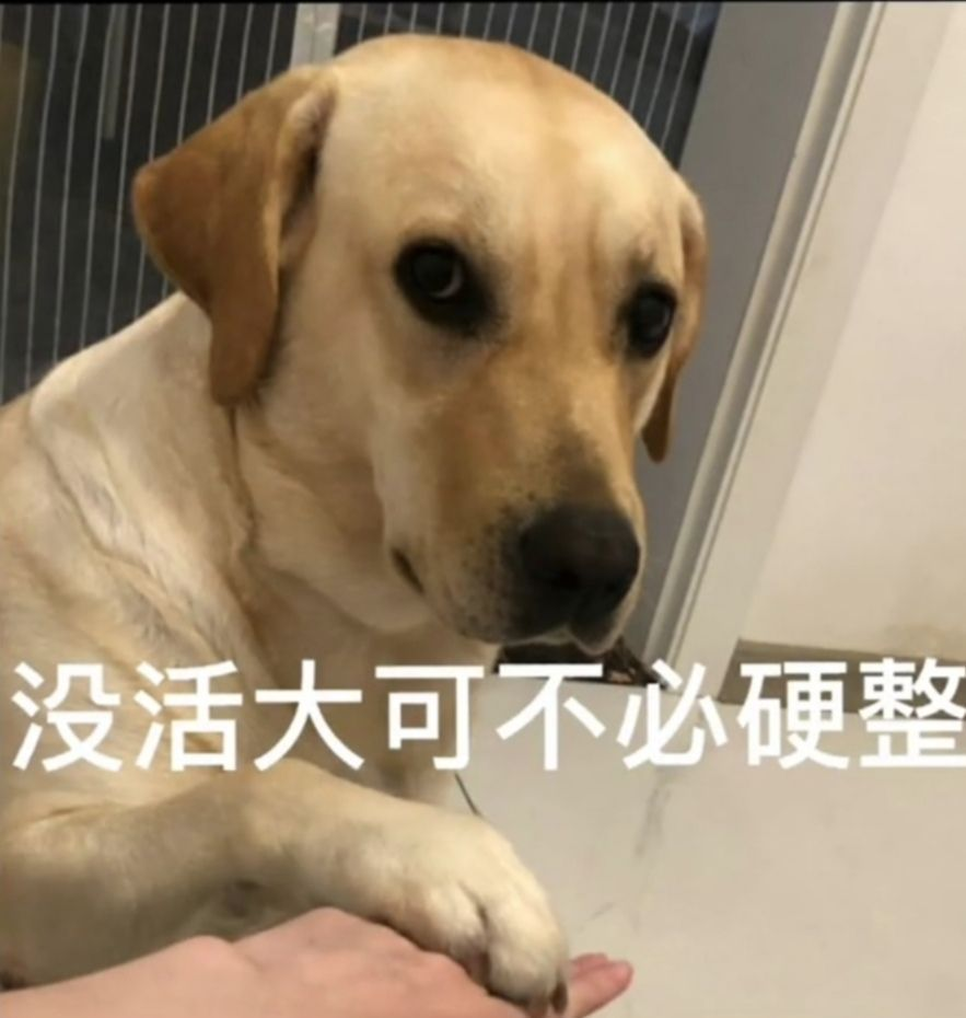 小巧玲珑的二次元女友—对子哈特LC2测评上篇（成川姬,菲崎日向）高刺激[db:副标题]插图14