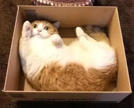 天堂制造的烧鸡天使—devildom天使降临测评 四星推荐[db:副标题]插图7