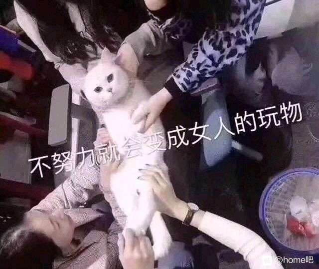 尻王争霸  GXP 森泽佳奈[db:副标题]插图1