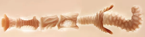 尻王争霸  GXP 森泽佳奈[db:副标题]插图13