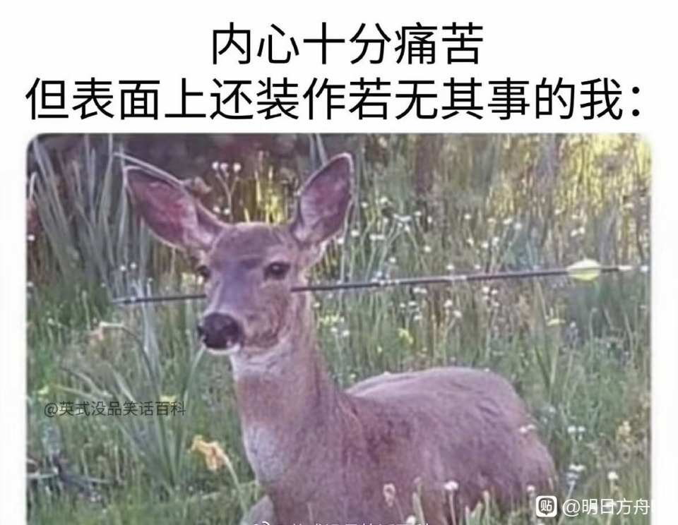 尻王争霸  GXP 森泽佳奈[db:副标题]插图14