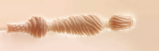 尻王争霸  GXP 森泽佳奈[db:副标题]插图15