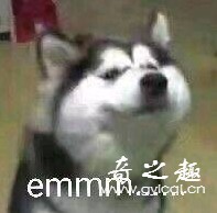 “很强烈但很有意思的突破感！”—Magic eyes极彩子宫（适中刺激）评测 – ¥200-400区间 – 3星推荐插图7