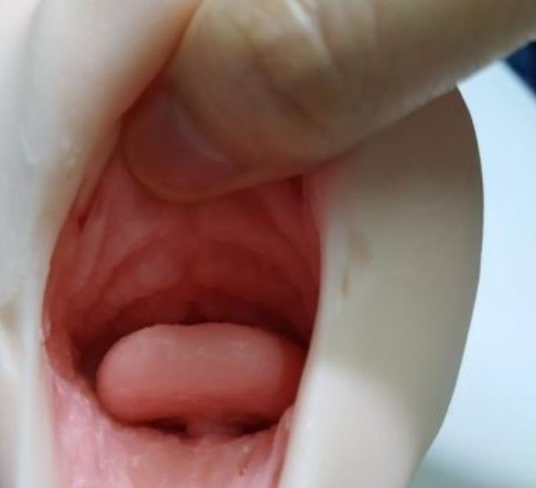 MagicEyes真实之口二代点评，温柔的咬插图3