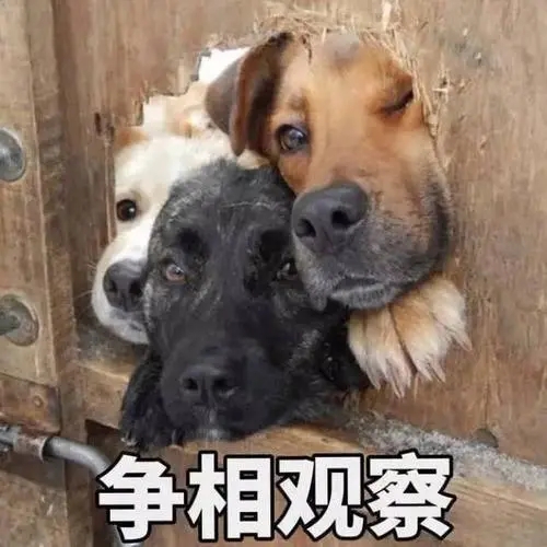 YUU萌新之臀飞机杯名器评测 – 双重享受，一次满足插图9