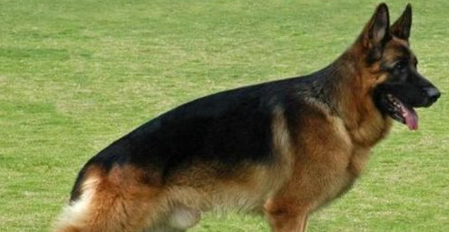 小萌兔三点10频震动防水按摩器-让小穴淹大水的萌宠阿~插图7 小萌兔三点10频震动防水按摩器-让小穴淹大水的萌宠阿~插图7