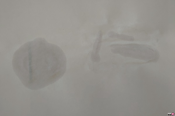 梦想女神泷泽萝拉全自动叫春抽插旋转活塞杯-呻吟、抽插、旋转三大需求一次满足;插图35