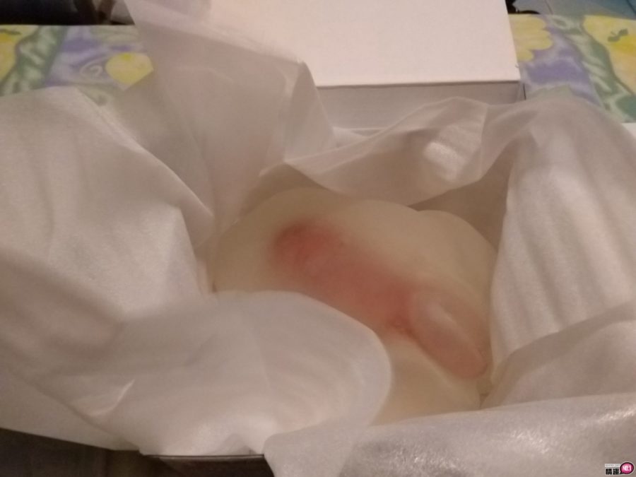 蜘蛛女孩的蜜桃陷阱;蜘蛛网包覆龟头自慰套标準版插图12