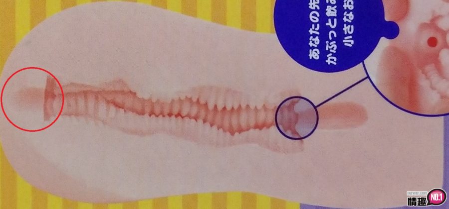 觉醒型素材肉厚极致处女-不只高潮强烈身体还抖个不停!插图20