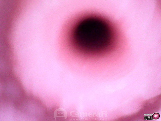 日本RideJapan芽生未开发的花蕾萝莉CQ2-进攻处女萝莉的子宫插图8