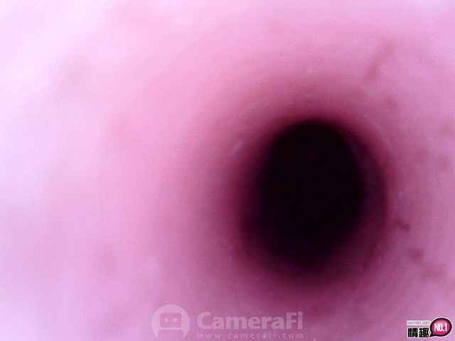 日本RideJapan芽生未开发的花蕾萝莉CQ2-进攻处女萝莉的子宫插图9