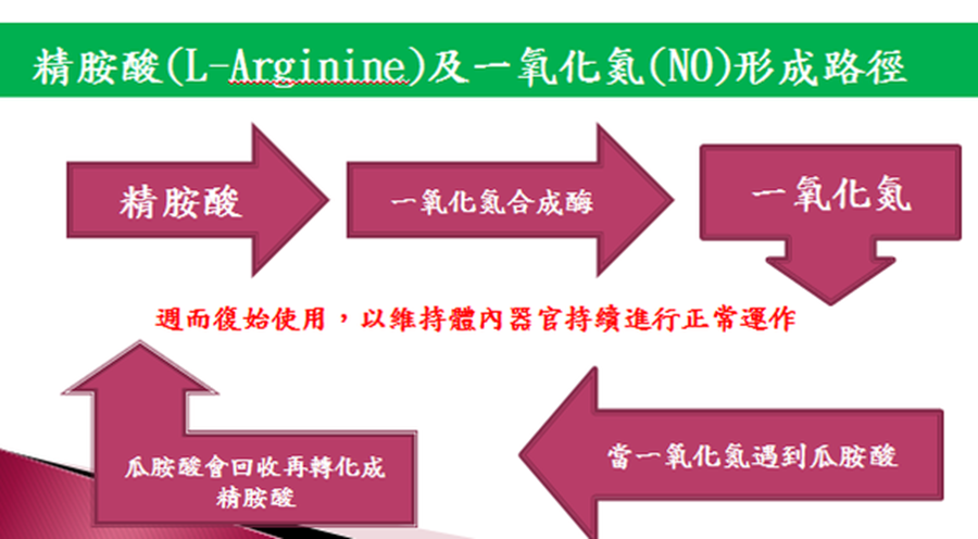 日本EXE加藤鹰锻鍊强化液三个实验报你知插图5