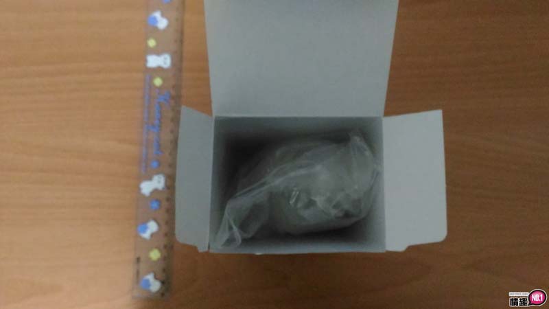 日本EXE单车少女GYUPO-RIDE机能系自慰套-若隐若现的性觉飨宴插图5