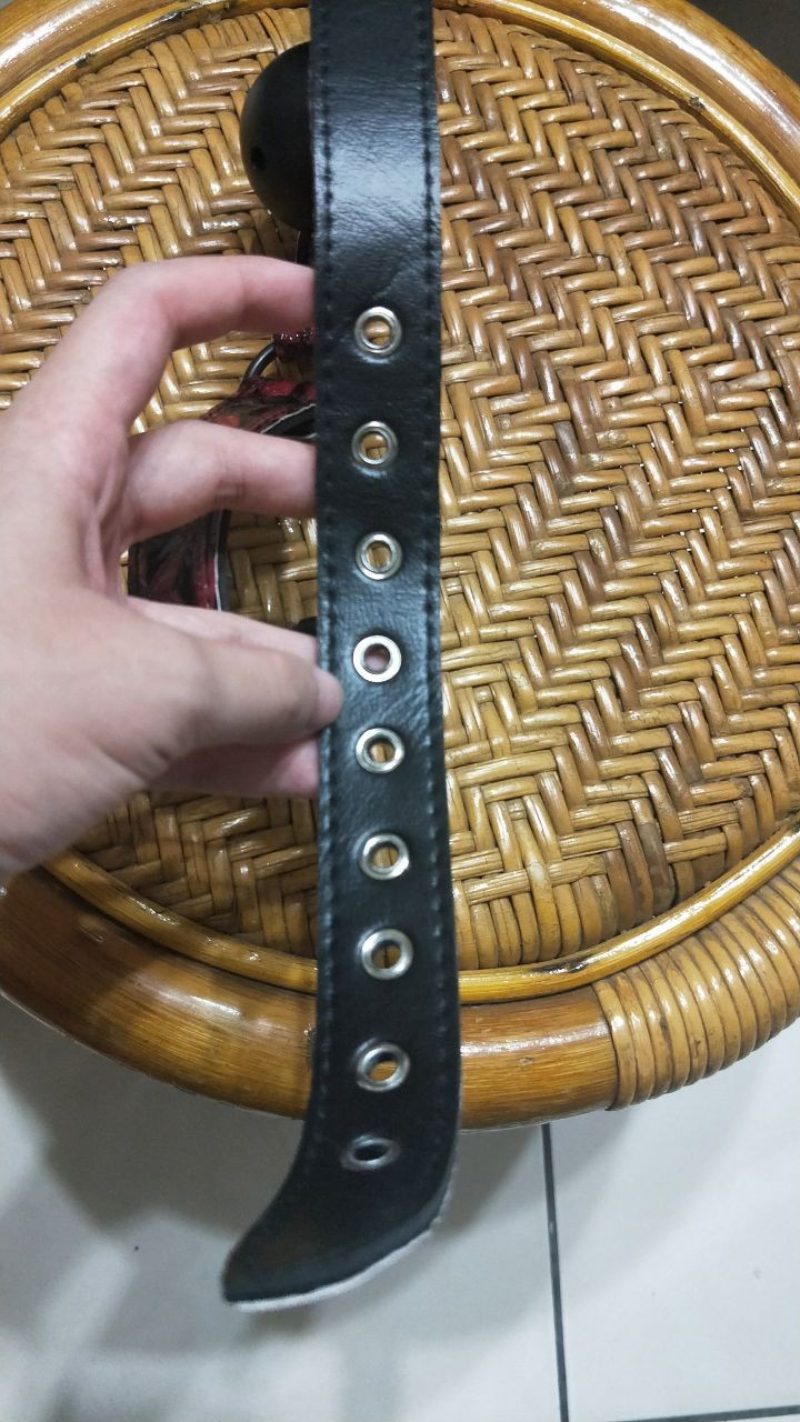 超美超羞耻的圆形口球插图5