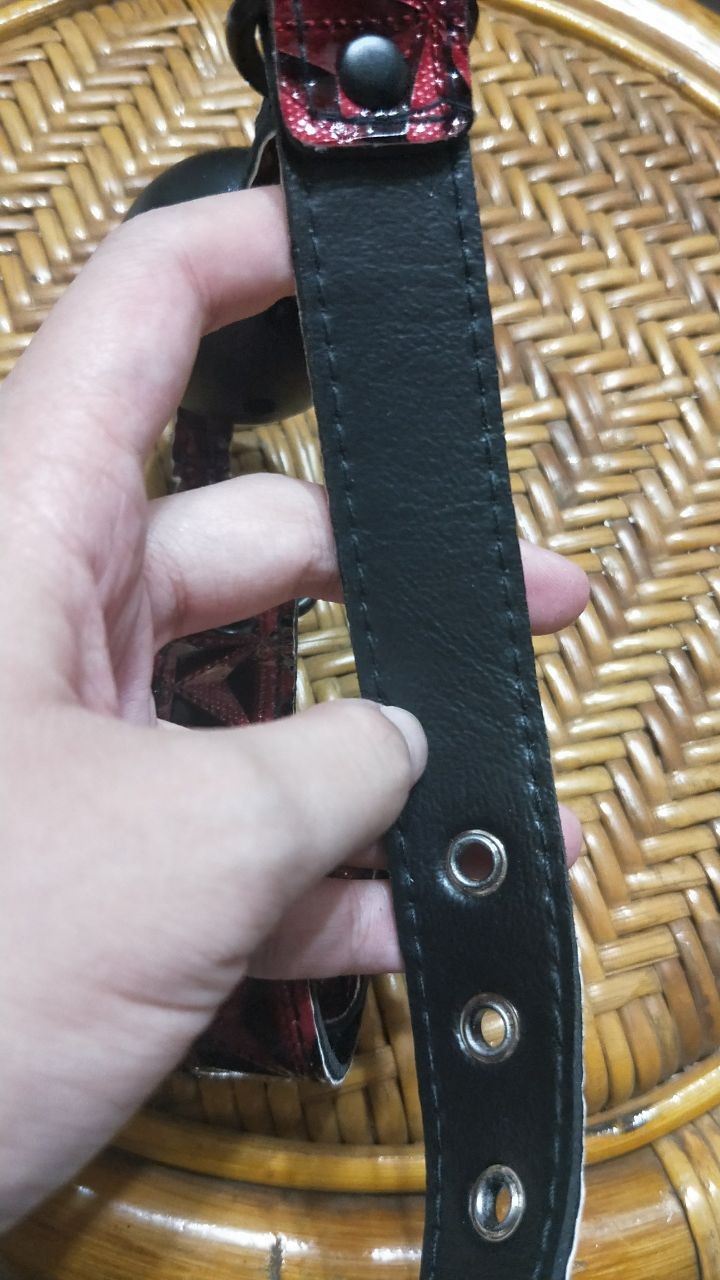 超美超羞耻的圆形口球插图8